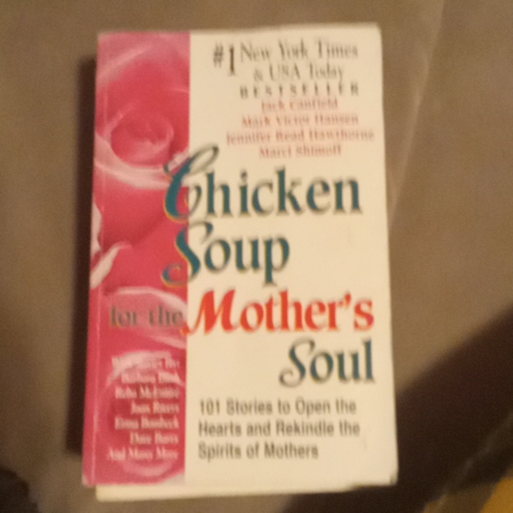 Chicken soup book bundle
